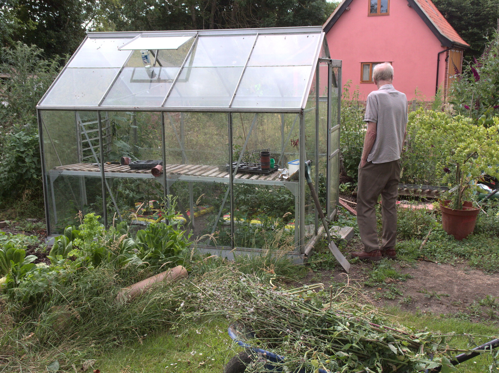 Grandad inspects the greenhouse from The Real Last Night of the Swan Inn, Brome, Suffolk - 24th June 2017