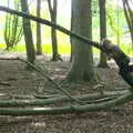 Fred clings to a tree, Camping at Dower House, West Harling, Norfolk - 1st July 2017