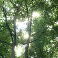 The sun breaks through the tree canopy, Camping at Dower House, West Harling, Norfolk - 1st July 2017