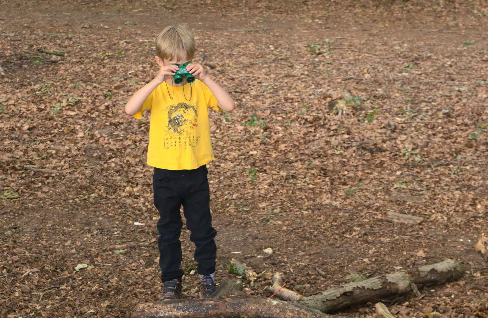 Harry uses his 'pinoclears' to stare at something, from Camping at Dower House, West Harling, Norfolk - 1st July 2017