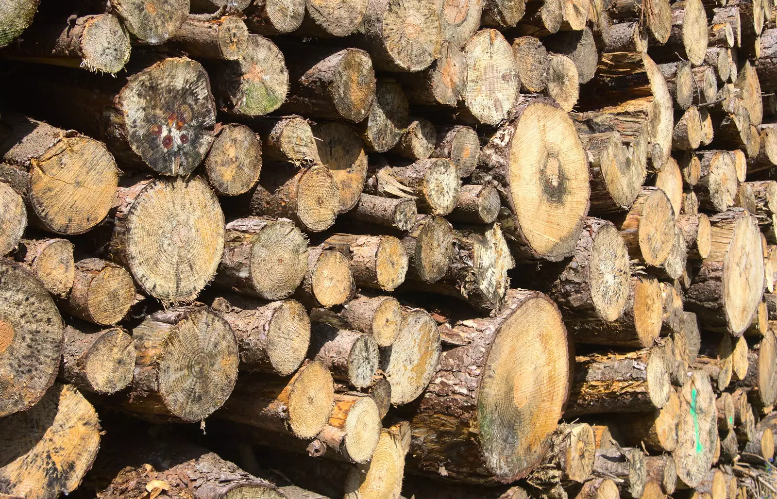 A pile of logs, from Camping at Dower House, West Harling, Norfolk - 1st July 2017