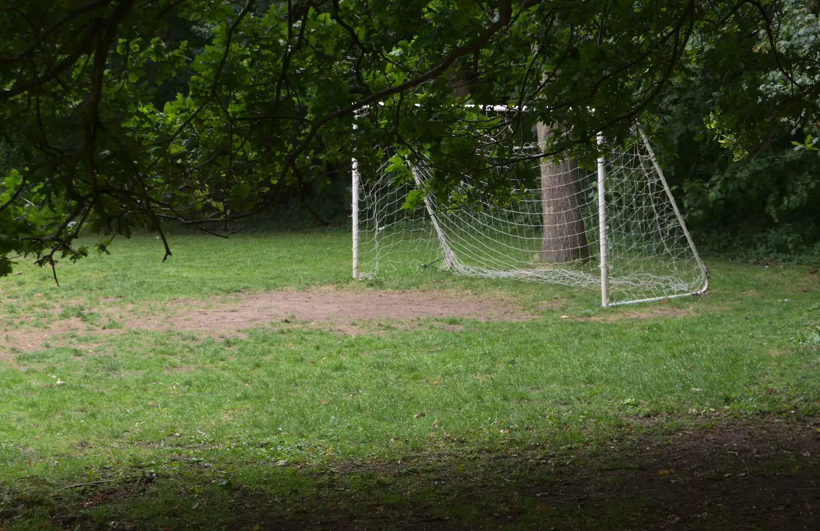 A football goal amongst the trees, from Camping at Dower House, West Harling, Norfolk - 1st July 2017