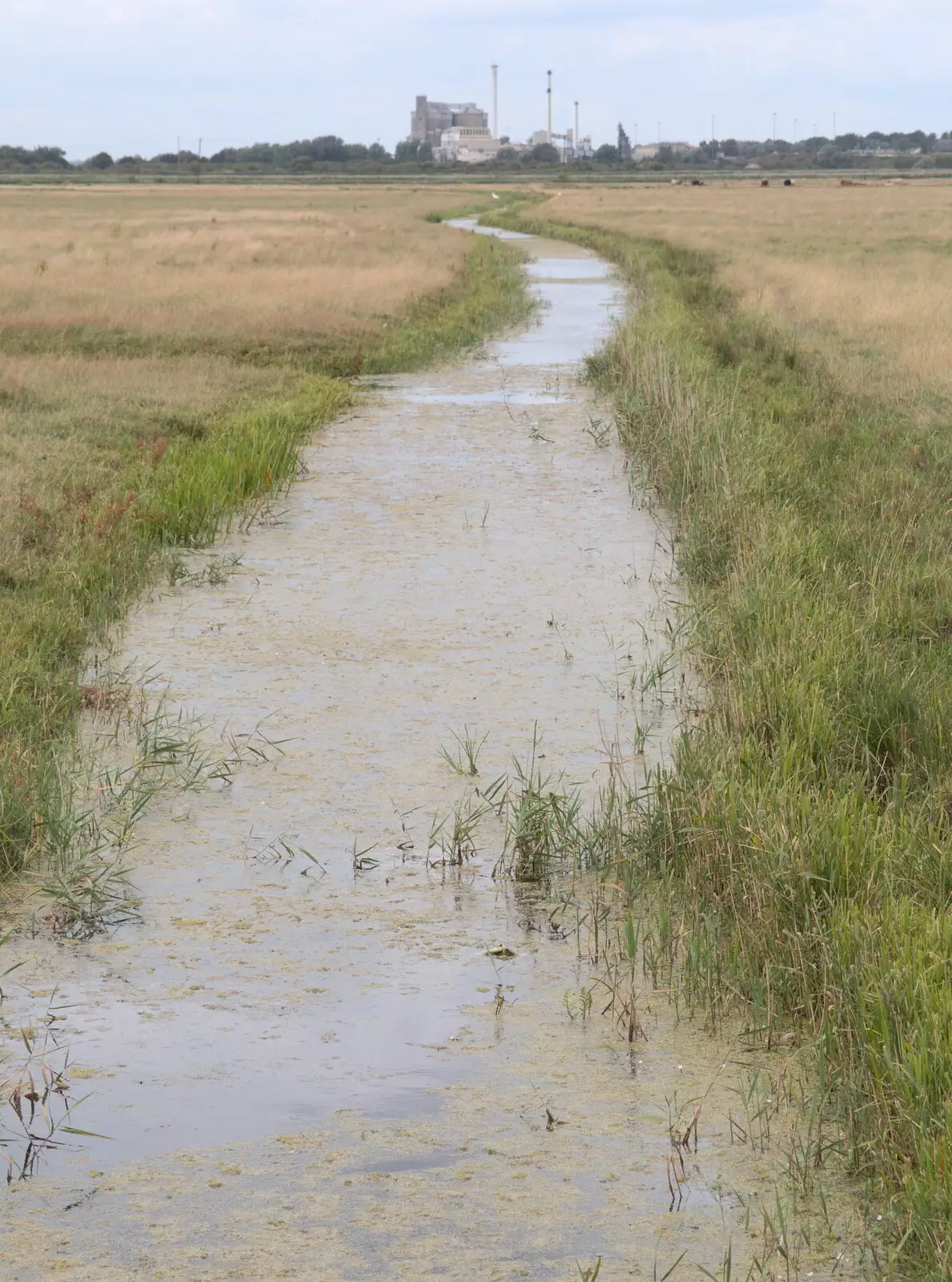 A drainage ditch, and Cantley sugar factory, from The Humpty Dumpty Beer Festival, Reedham, Norfolk - 22nd July 2017