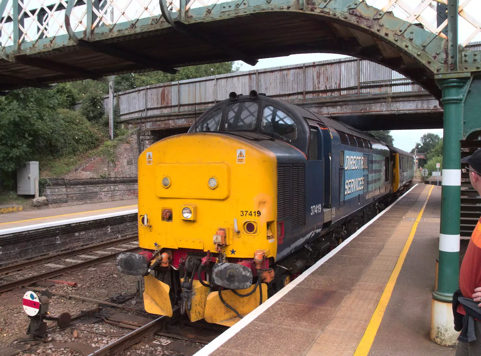 Class 37 37419 from the 1960s thunders past Paul, from The Humpty Dumpty Beer Festival, Reedham, Norfolk - 22nd July 2017