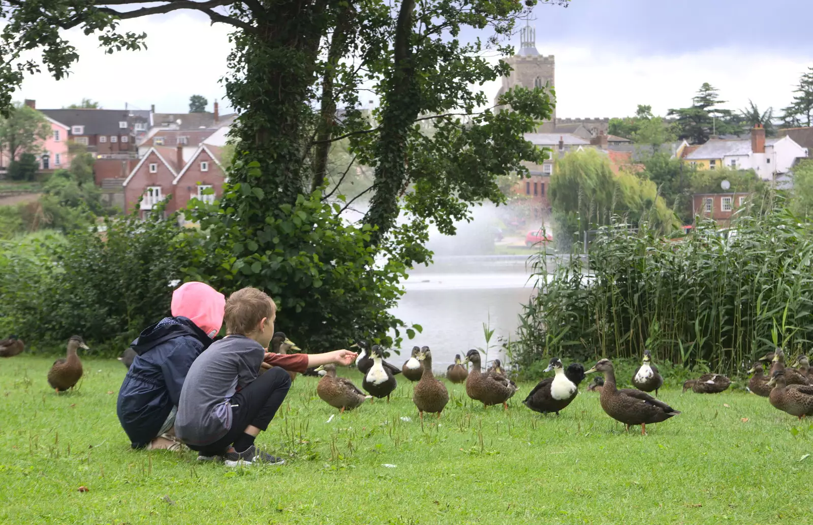 Fred tries to tempt a duck with some duck food, from Diss Fest, or Singin' in the Rain, Diss, Norfolk - 23rd July 2017