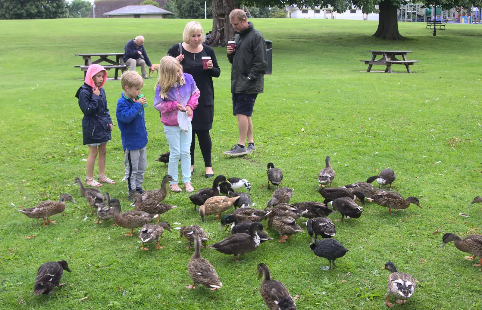 It really is nice weather for ducks, from Diss Fest, or Singin' in the Rain, Diss, Norfolk - 23rd July 2017