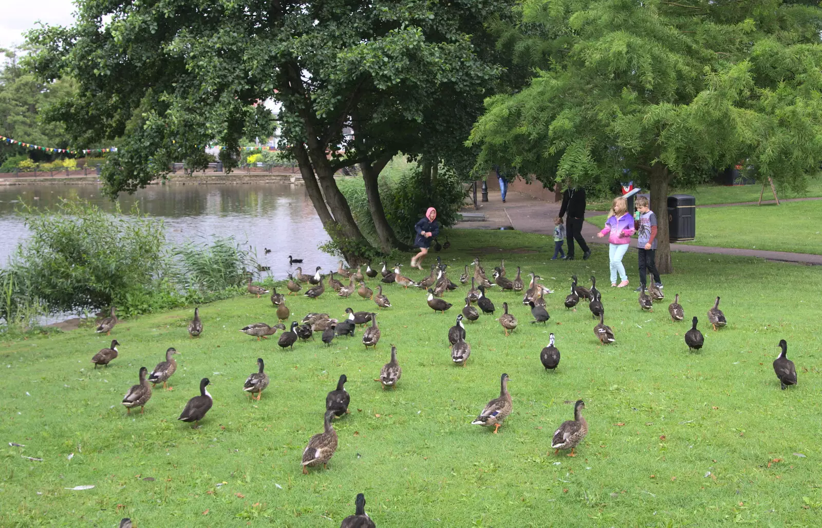 Sophie, Grace and Fred run around after ducks, from Diss Fest, or Singin' in the Rain, Diss, Norfolk - 23rd July 2017