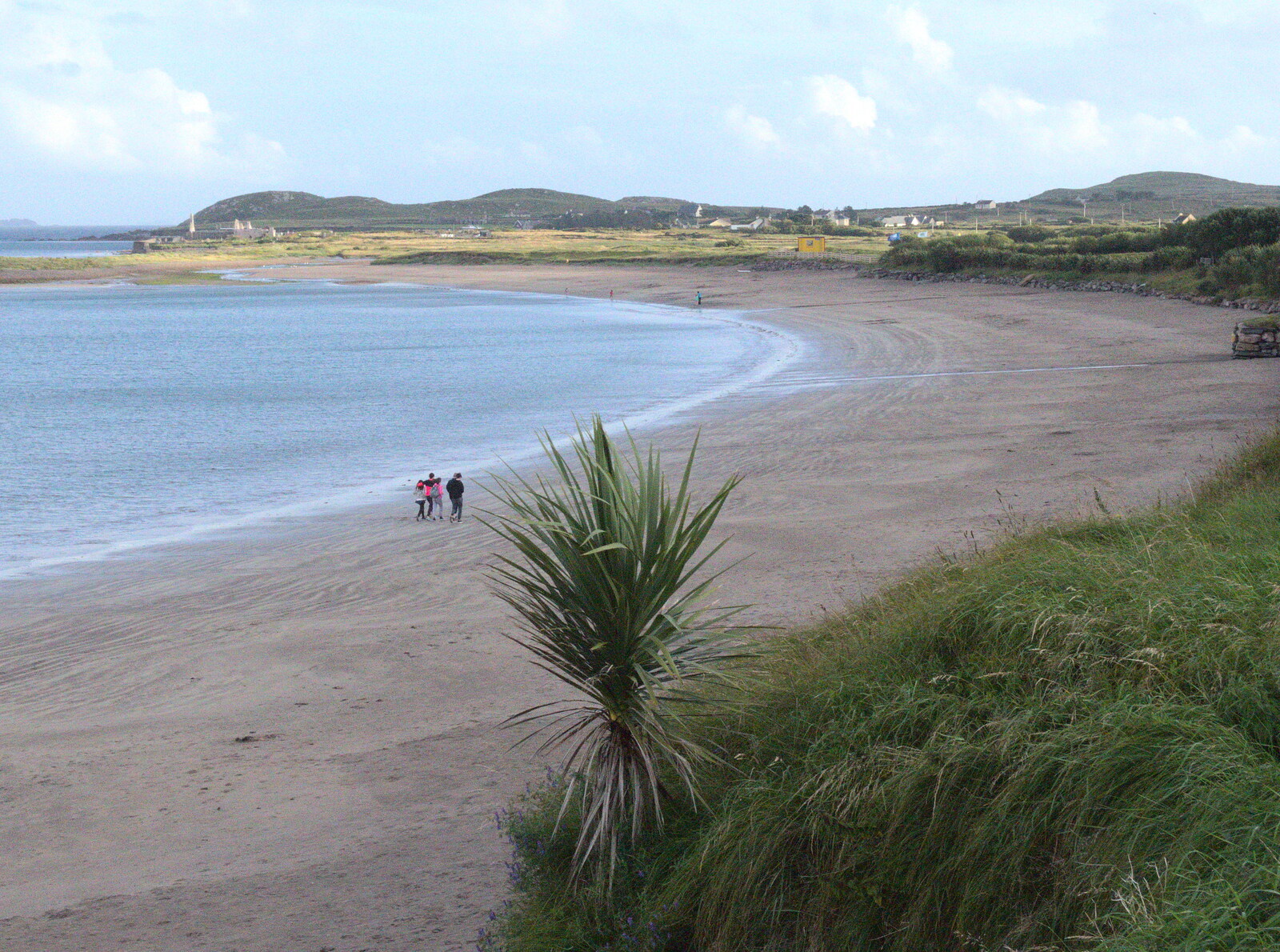 There are palm trees on the beach and everything from Liverpool to Baile an Sceilg, County Kerry, Ireland - 30th July 2017