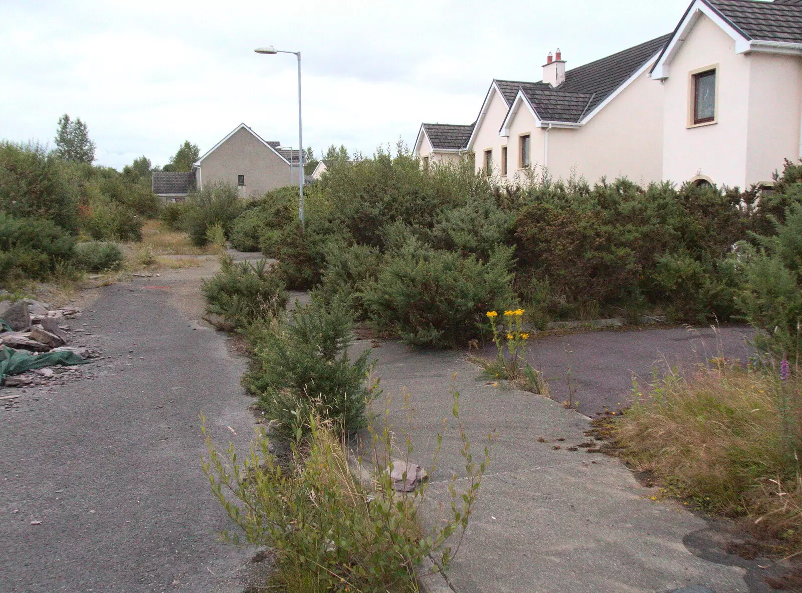 Nature reclaims the estate's main street, from Baile an Sceilg to An tSnaidhme, Co. Kerry, Ireland - 31st July 2017