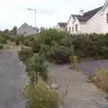 Nature reclaims the estate's main street, Baile an Sceilg to An tSnaidhme, Co. Kerry, Ireland - 31st July 2017