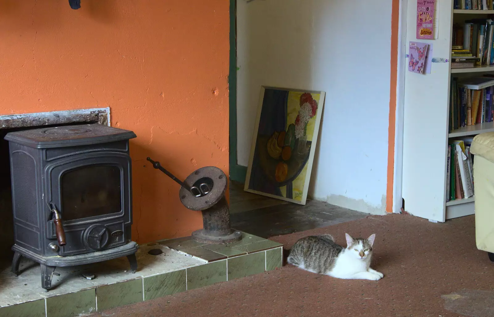 Cat and a wood-burner, from Baile an Sceilg to An tSnaidhme, Co. Kerry, Ireland - 31st July 2017