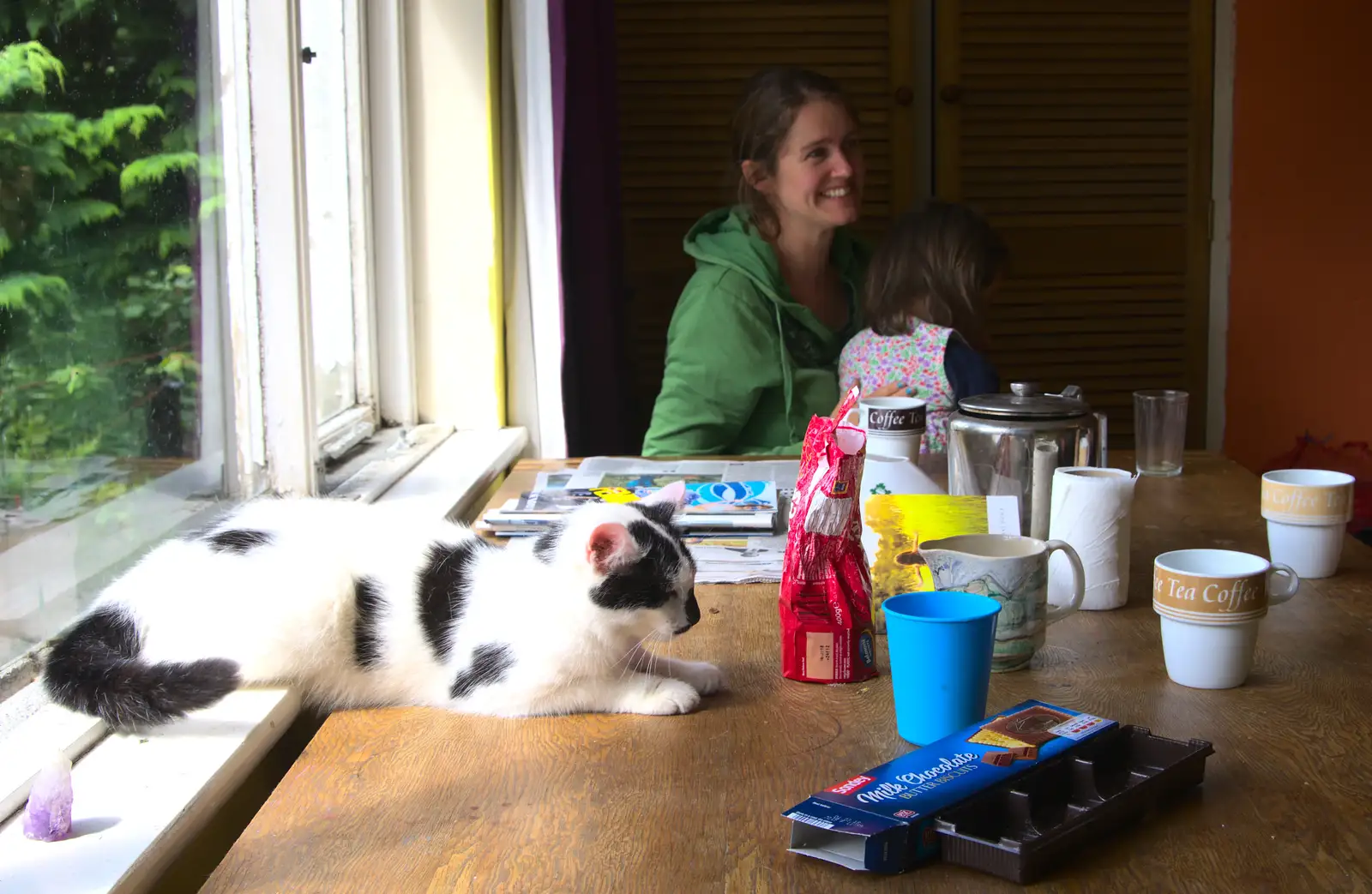 Table Cat, from Baile an Sceilg to An tSnaidhme, Co. Kerry, Ireland - 31st July 2017