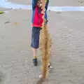 Fred finds a seaweed snake skin, Baile an Sceilg to An tSnaidhme, Co. Kerry, Ireland - 31st July 2017