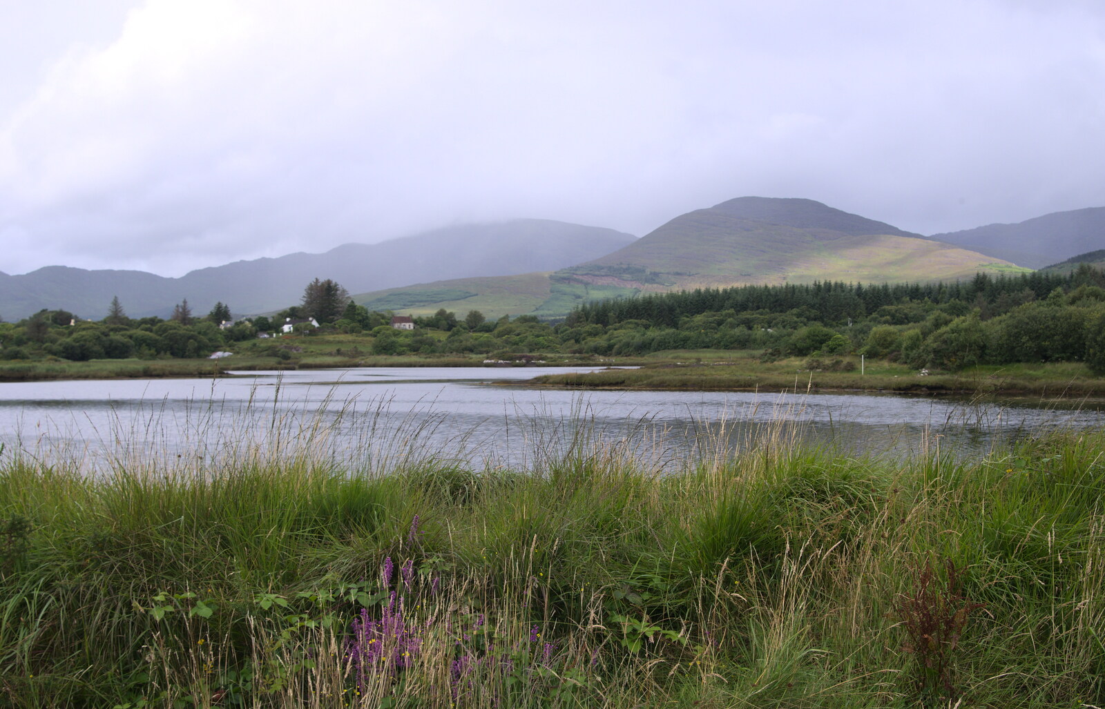 Down by the lake from In The Sneem, An tSnaidhm, Kerry, Ireland - 1st August 2017