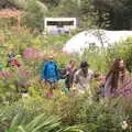 Isobel and the gang amongst the foliage, Staigue Fort and the Beach, Kerry, Ireland - 2nd August 2017