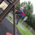 Harry climbs a wooden ladder, A Seafari Boat Trip, Kenmare, Kerry, Ireland - 3rd August 2017