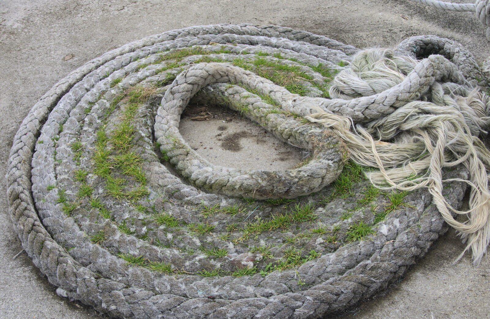 Moss reclaims a coil of old rope from A Seafari Boat Trip, Kenmare, Kerry, Ireland - 3rd August 2017