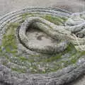 Moss reclaims a coil of old rope, A Seafari Boat Trip, Kenmare, Kerry, Ireland - 3rd August 2017