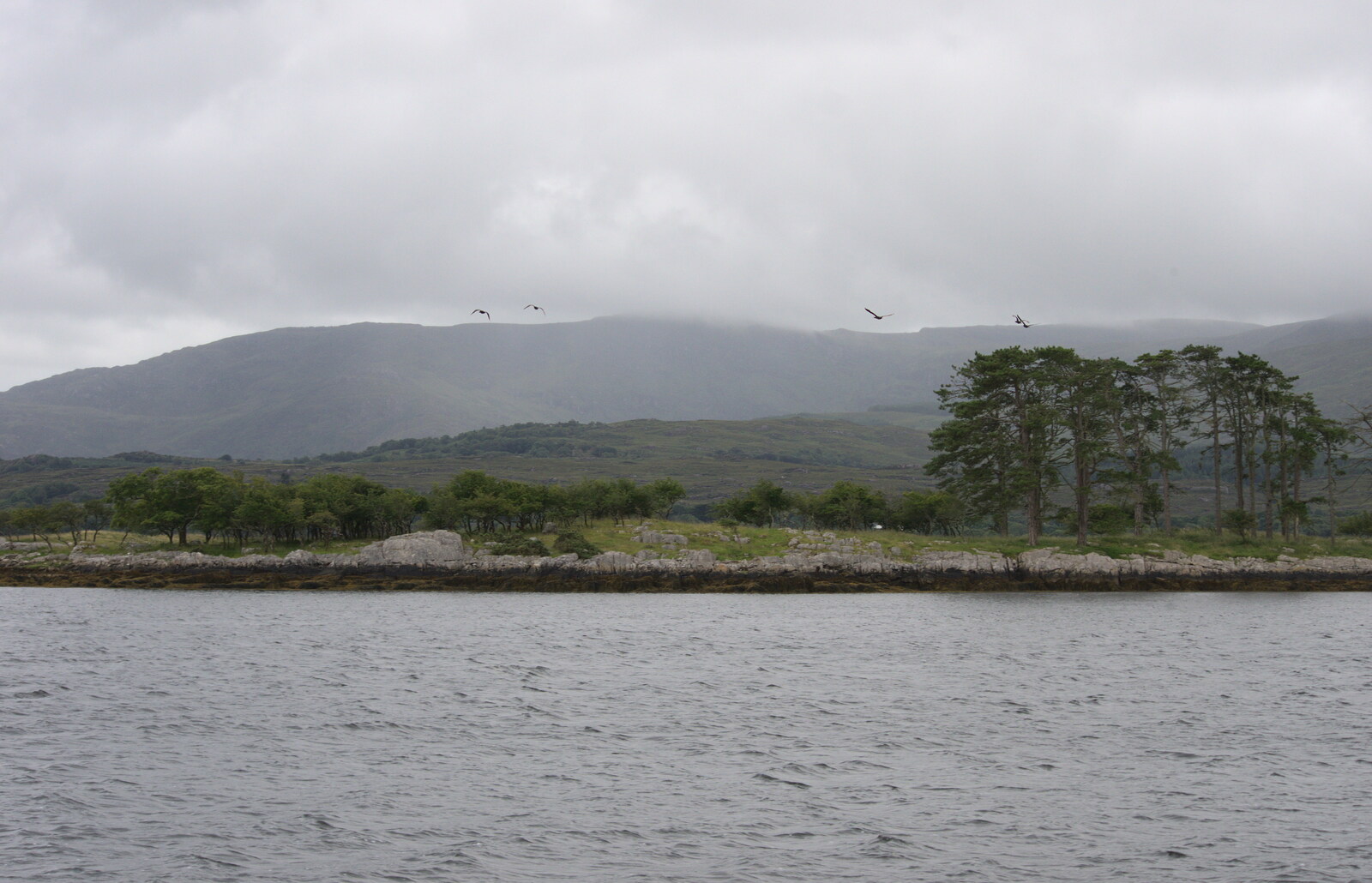 Lonely pine trees on the beach from A Seafari Boat Trip, Kenmare, Kerry, Ireland - 3rd August 2017