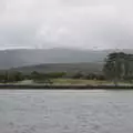 Lonely pine trees on the beach, A Seafari Boat Trip, Kenmare, Kerry, Ireland - 3rd August 2017