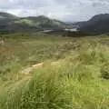 Long grass in a valley, The Annascaul 10k Run, Abha na Scáil, Kerry, Ireland - 5th August 2017