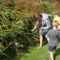 Isobel picks some of the hedge flowers, The Annascaul 10k Run, Abha na Scáil, Kerry, Ireland - 5th August 2017