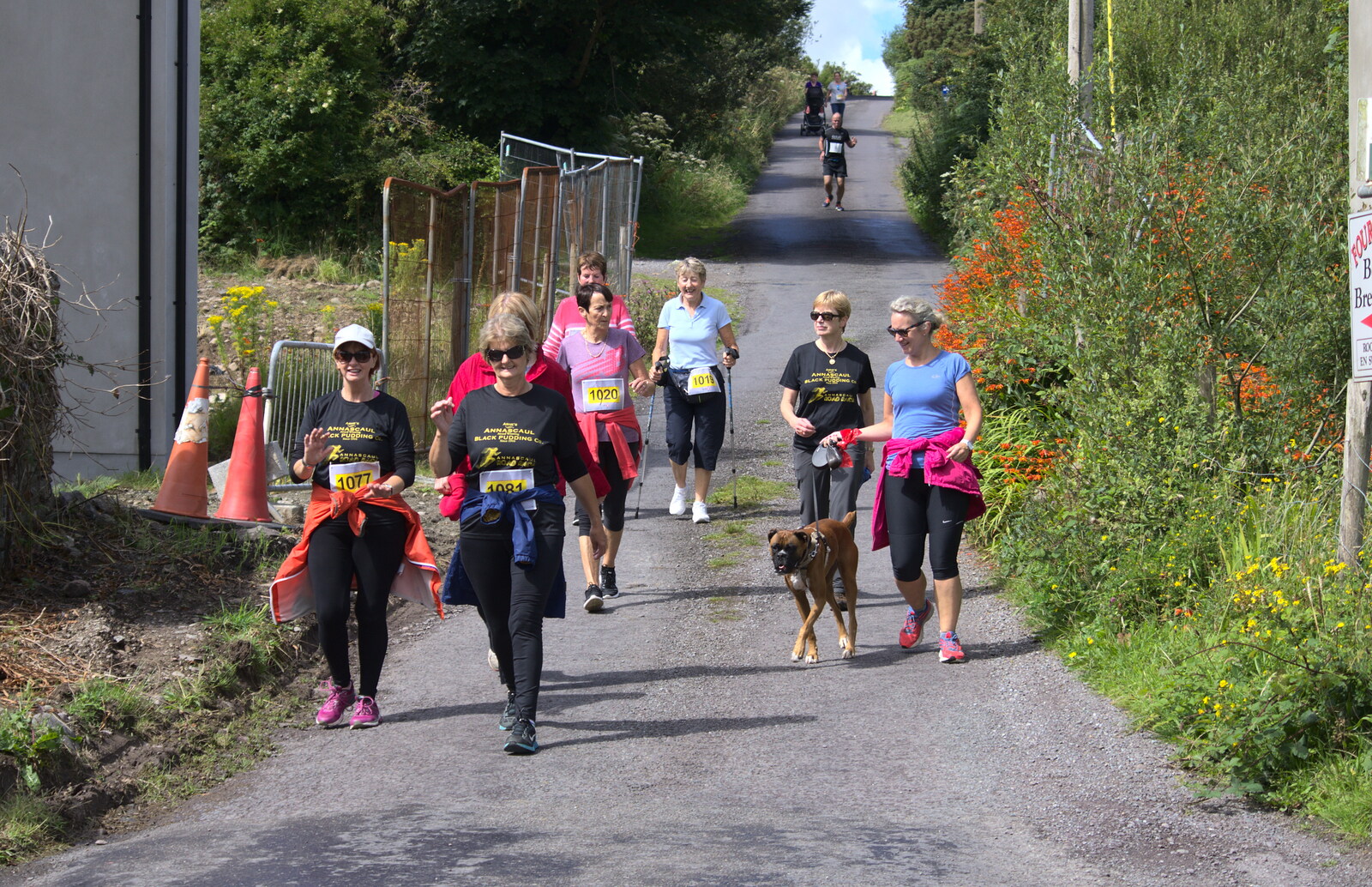 Walkers and people with dogs head down to the finish from The Annascaul 10k Run, Abha na Scáil, Kerry, Ireland - 5th August 2017