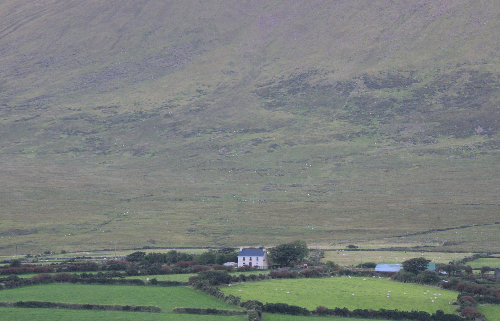 A house and a hill from The Annascaul 10k Run, Abha na Scáil, Kerry, Ireland - 5th August 2017