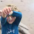 Fred's found more bivalve molluscs, Minard Beach and Ceol Agus Craic, Lios Póil, Kerry - 6th August 2017