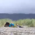 Meanwhile, Harry pokes about up in the dunes, Surfing Achill Island, Oileán Acla, Maigh Eo, Ireland - 8th August 2017