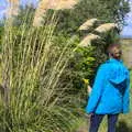 Isobel looks at some pampas grass, Surfing Achill Island, Oileán Acla, Maigh Eo, Ireland - 8th August 2017