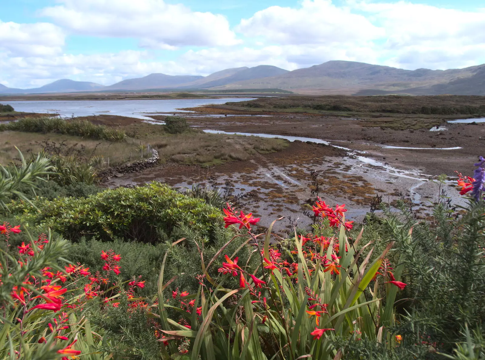 A gorgeous view towards the mountains, from A Bike Ride to Mulranny, County Mayo, Ireland - 9th August 2017