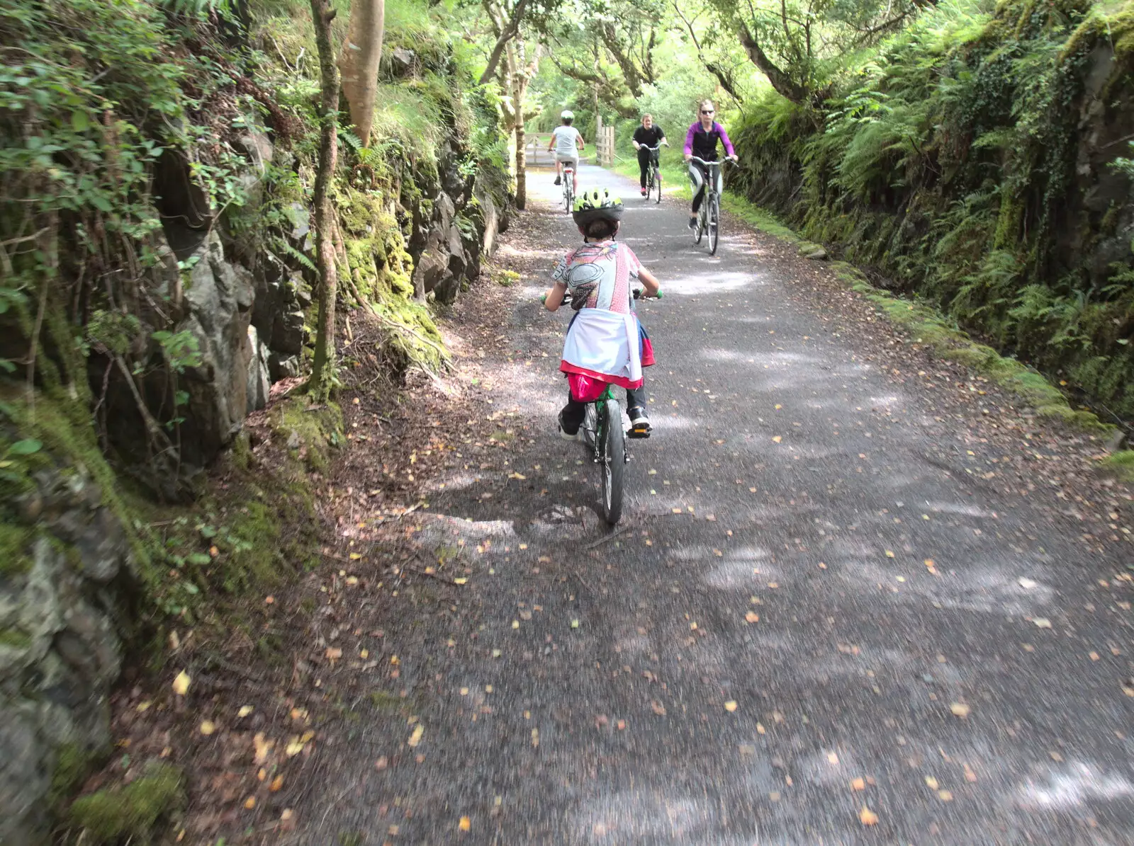 We ride through the woods near Mulranny, from A Bike Ride to Mulranny, County Mayo, Ireland - 9th August 2017