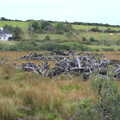 Piles of 'bog oak' in a field near Newport, From Achill to Strokestown, Mayo and Roscommon, Ireland - 10th August 2017