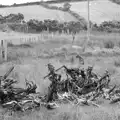 More piles of bog oak, From Achill to Strokestown, Mayo and Roscommon, Ireland - 10th August 2017