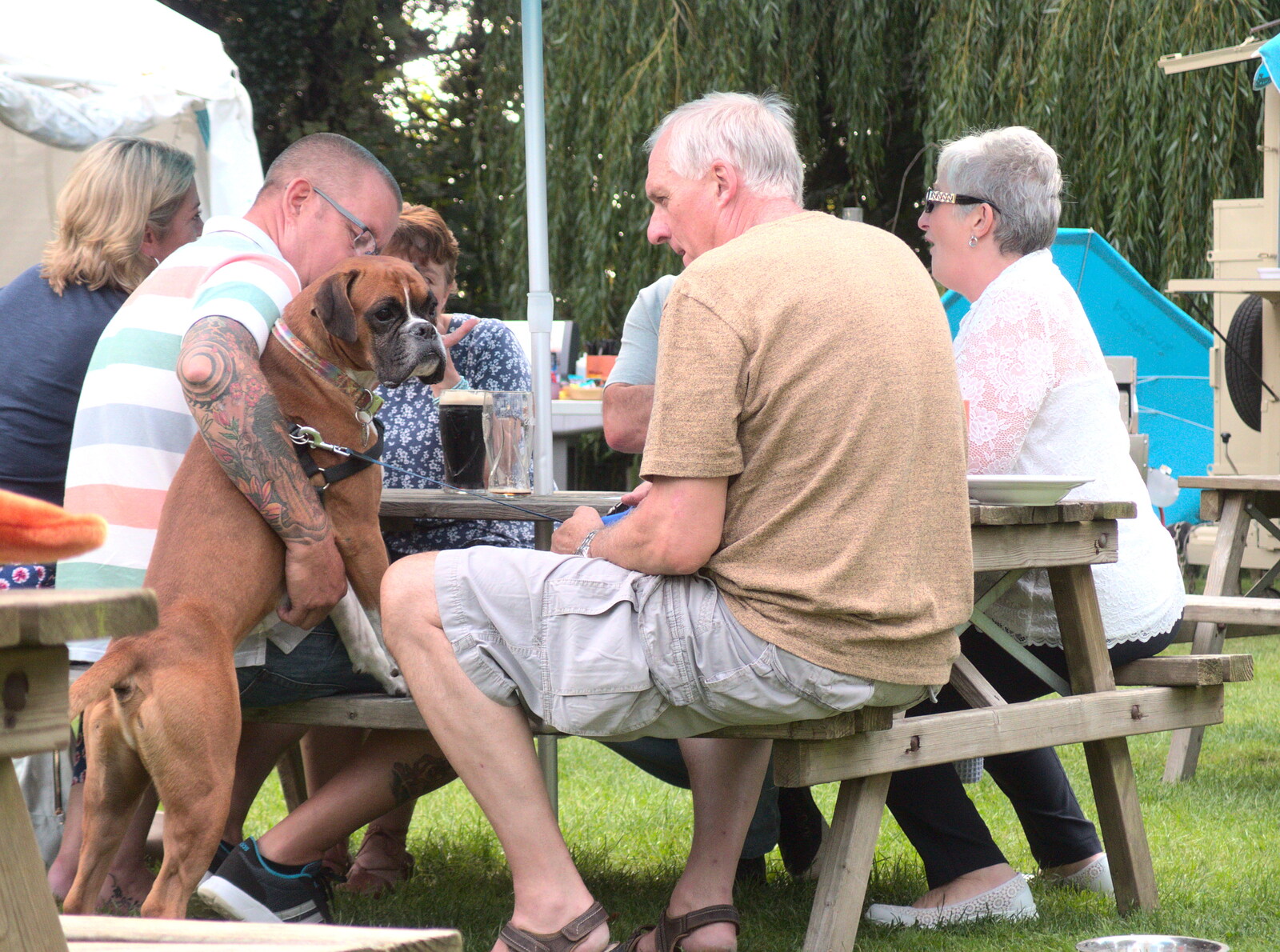 A boxer dog has a beer from The BSCC at Yaxley and the Hoxne Beer Festival, Suffolk - 31st August 2017