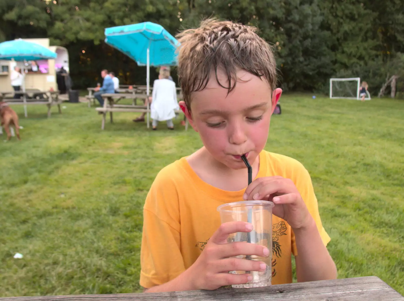 Fred is hot after an hour of bouncing, from The BSCC at Yaxley and the Hoxne Beer Festival, Suffolk - 31st August 2017