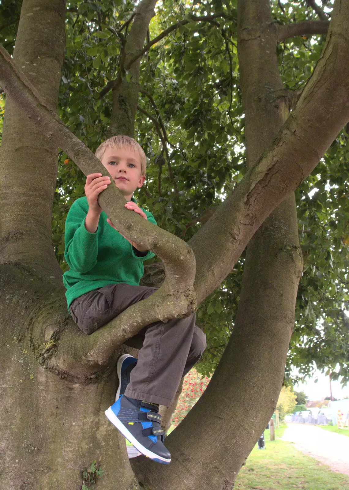 Harry's up a tree, from A Summer Fete, Palgrave, Suffolk - 10th September 2017