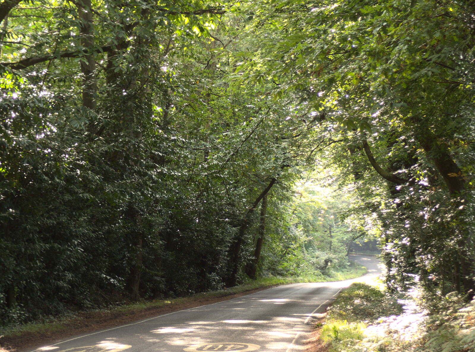 The road towards Holmesley in the New Forest from Grandmother's Wake, Winkton, Christchurch, Dorset - 18th September 2017