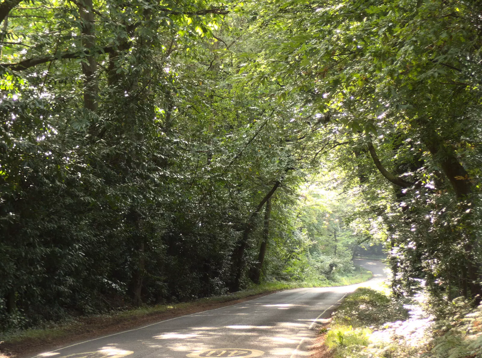 The road towards Holmesley in the New Forest, from Grandmother's Wake, Winkton, Christchurch, Dorset - 18th September 2017