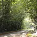 The road towards Holmesley in the New Forest, Grandmother's Wake, Winkton, Christchurch, Dorset - 18th September 2017