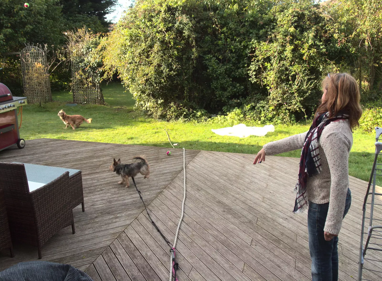 Michelle throws a tennis ball for the dogs, from Grandmother's Wake, Winkton, Christchurch, Dorset - 18th September 2017