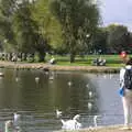 Swans on the River Stour, Grandmother's Wake, Winkton, Christchurch, Dorset - 18th September 2017