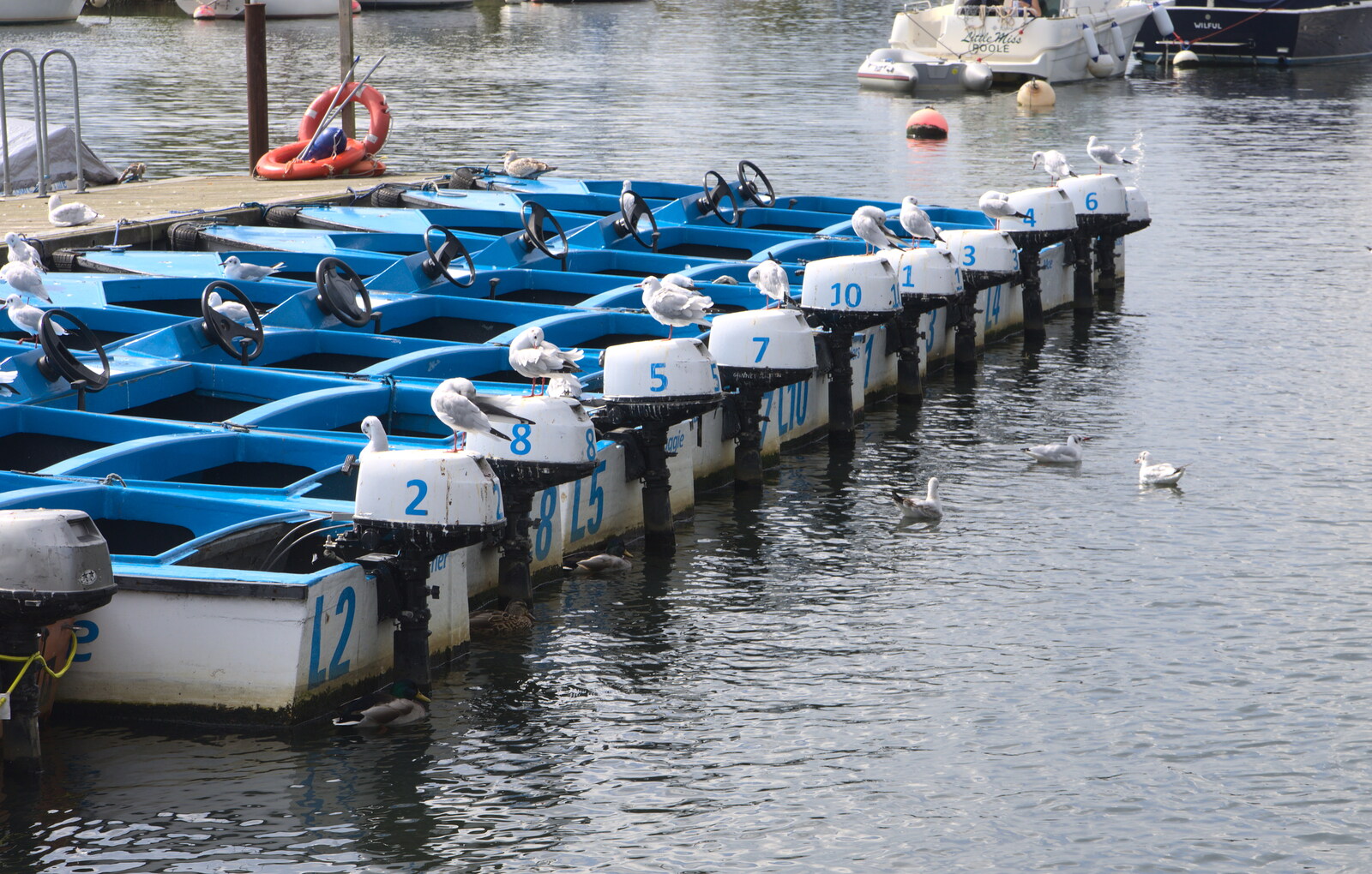A line of motor boats on the river from Grandmother's Wake, Winkton, Christchurch, Dorset - 18th September 2017