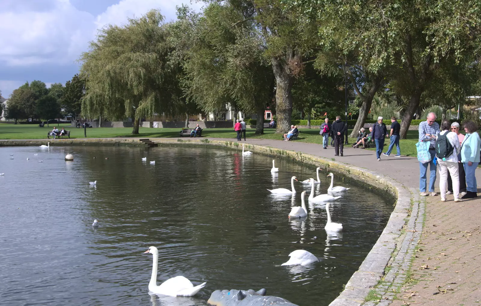 Swans on the river, from Grandmother's Wake, Winkton, Christchurch, Dorset - 18th September 2017