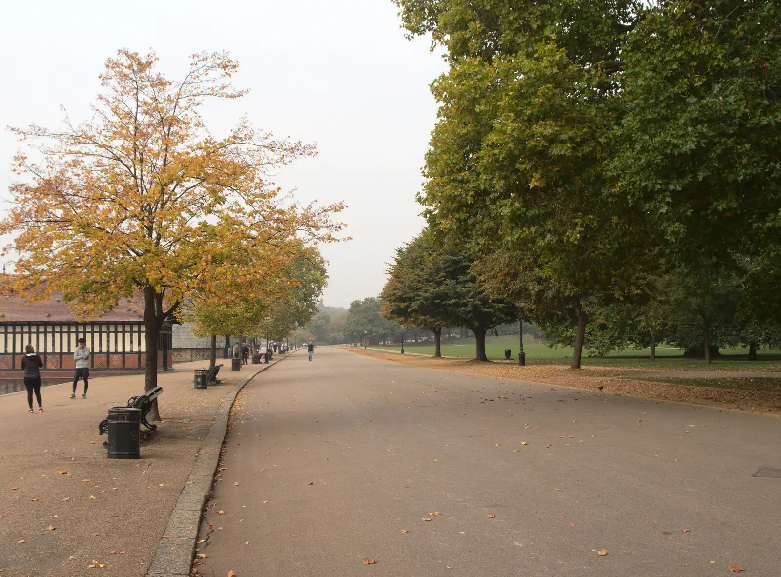 Serpentine Road through the middle of Hyde Park, from Hyde Park and Carpets, London and Diss - 20th September 2017