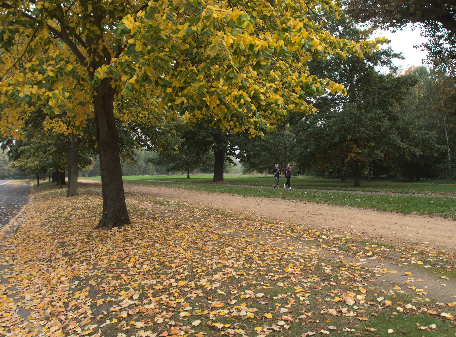West Carriage Drive is getting all autumnal from Hyde Park and Carpets, London and Diss - 20th September 2017