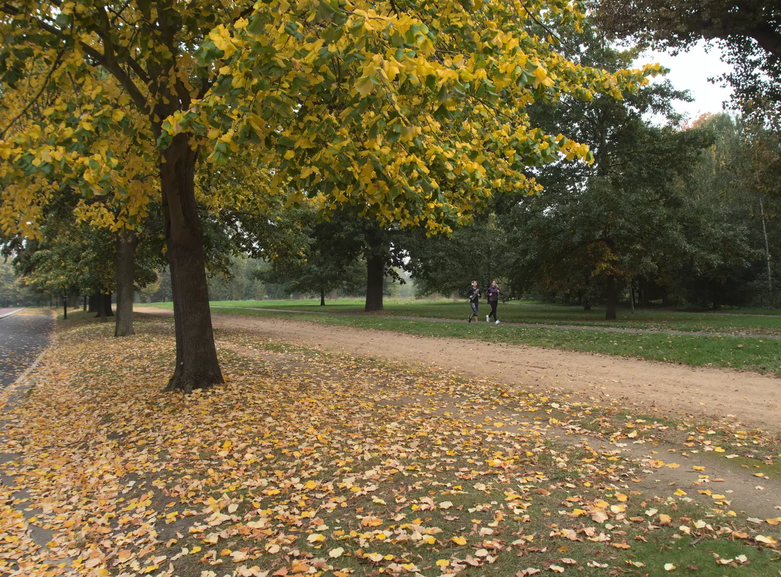 West Carriage Drive is getting all autumnal, from Hyde Park and Carpets, London and Diss - 20th September 2017