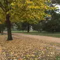 West Carriage Drive is getting all autumnal, Hyde Park and Carpets, London and Diss - 20th September 2017