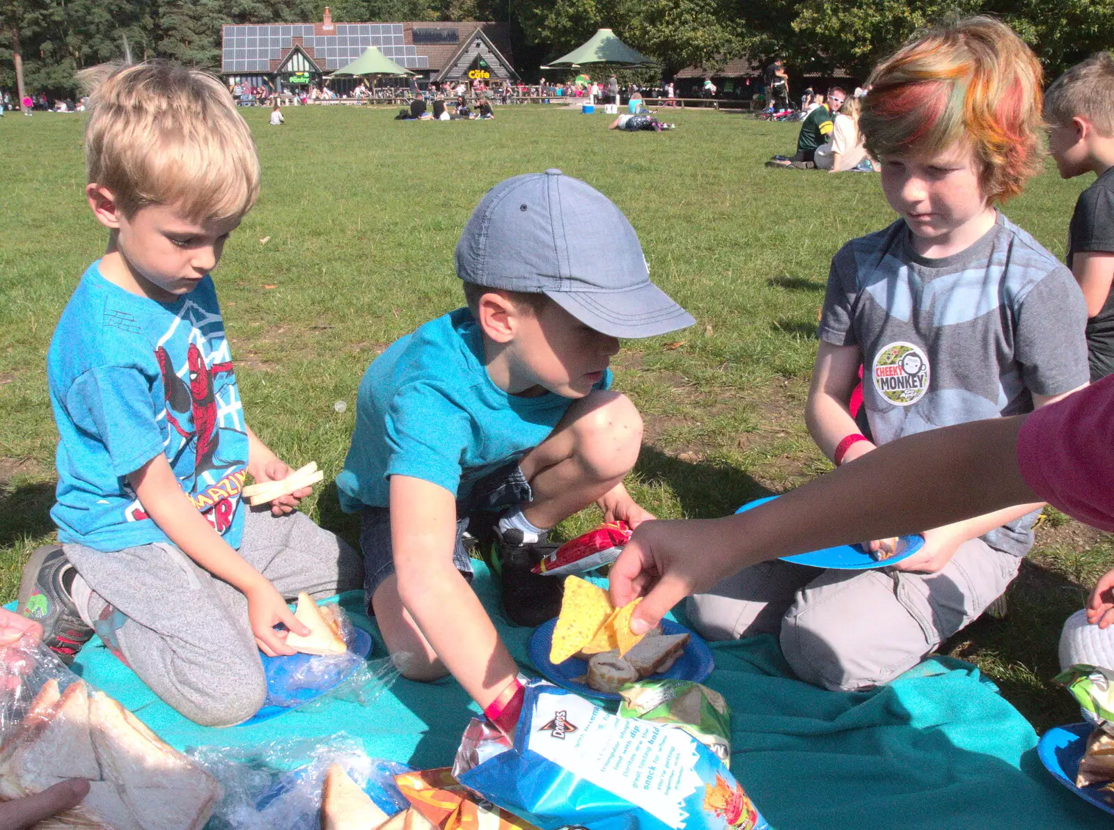 Harry reaches for a triangle sandwich, from Fred Goes Ape, High Lodge, Brandon, Suffolk - 24th September 2017